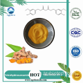 Tumerisches Extraktpulver 95% Curcumin-Kurkumin Curcumin